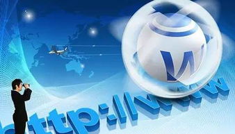 互联网营销的发展及应用与软硬件的开发销售